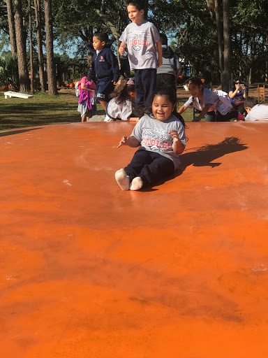 Tourist Attraction «Partin Ranch Corn Maze», reviews and photos, 5601 N Canoe Creek Rd, Kenansville, FL 34739, USA