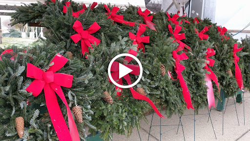 Park «Louisville Waterfront Park (Great Lawn, Harbor Lawn, Festival Plaza)», reviews and photos, 231 Witherspoon St, Louisville, KY 40202, USA