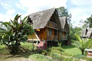 Sinchi Warmi Amazon Lodge image