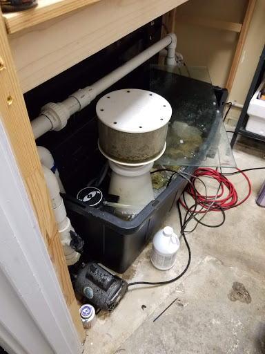 Tropical Fish Store «Barrier Reef Aquariums», reviews and photos, 1717 NE 44th St # A, Renton, WA 98056, USA