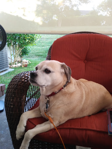 Pet Supply Store «PetSmart», reviews and photos, 14137 Rivergate Pkwy, Charlotte, NC 28273, USA