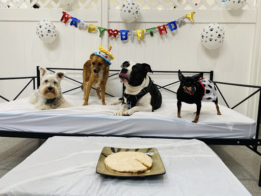 Dog accommodation Los Angeles