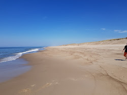 Vejlby Klit Beach'in fotoğrafı imkanlar alanı