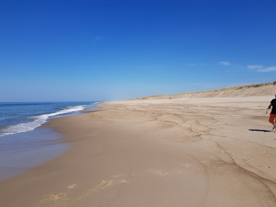 Vejlby Klit Beach