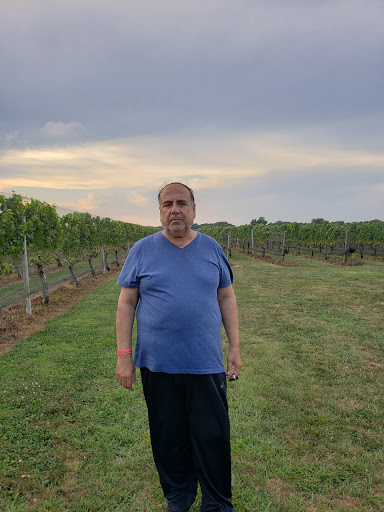 Winery «Palmer Vineyards», reviews and photos, 5120 Sound Ave, Riverhead, NY 11901, USA