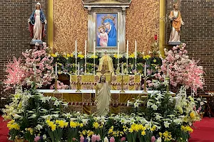 Mary Mother of the Church image