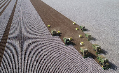 Contract Cotton Picking