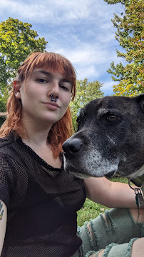 Stay Over, Rover - Photo 2 - Car repair in , Waterbury