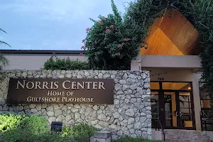 Norris Center image
