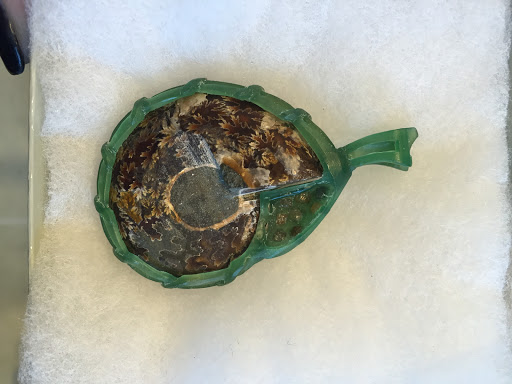 Jeweler «Muhl Jewelers», reviews and photos, 1130 Orange Ave, Coronado, CA 92118, USA