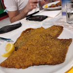 Photo n°1 de l'avis de Aceri.a fait le 19/07/2021 à 21:16 sur le  Ristorante Galleria à Chieti