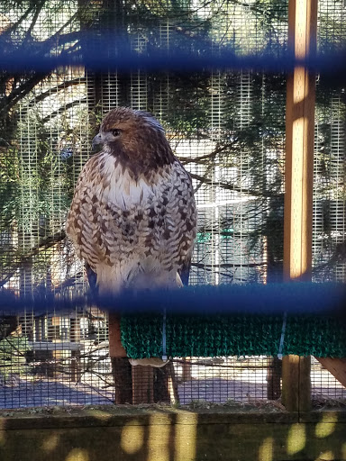 Nature Preserve «Cascades Raptor Center», reviews and photos, 32275 Fox Hollow Rd, Eugene, OR 97405, USA