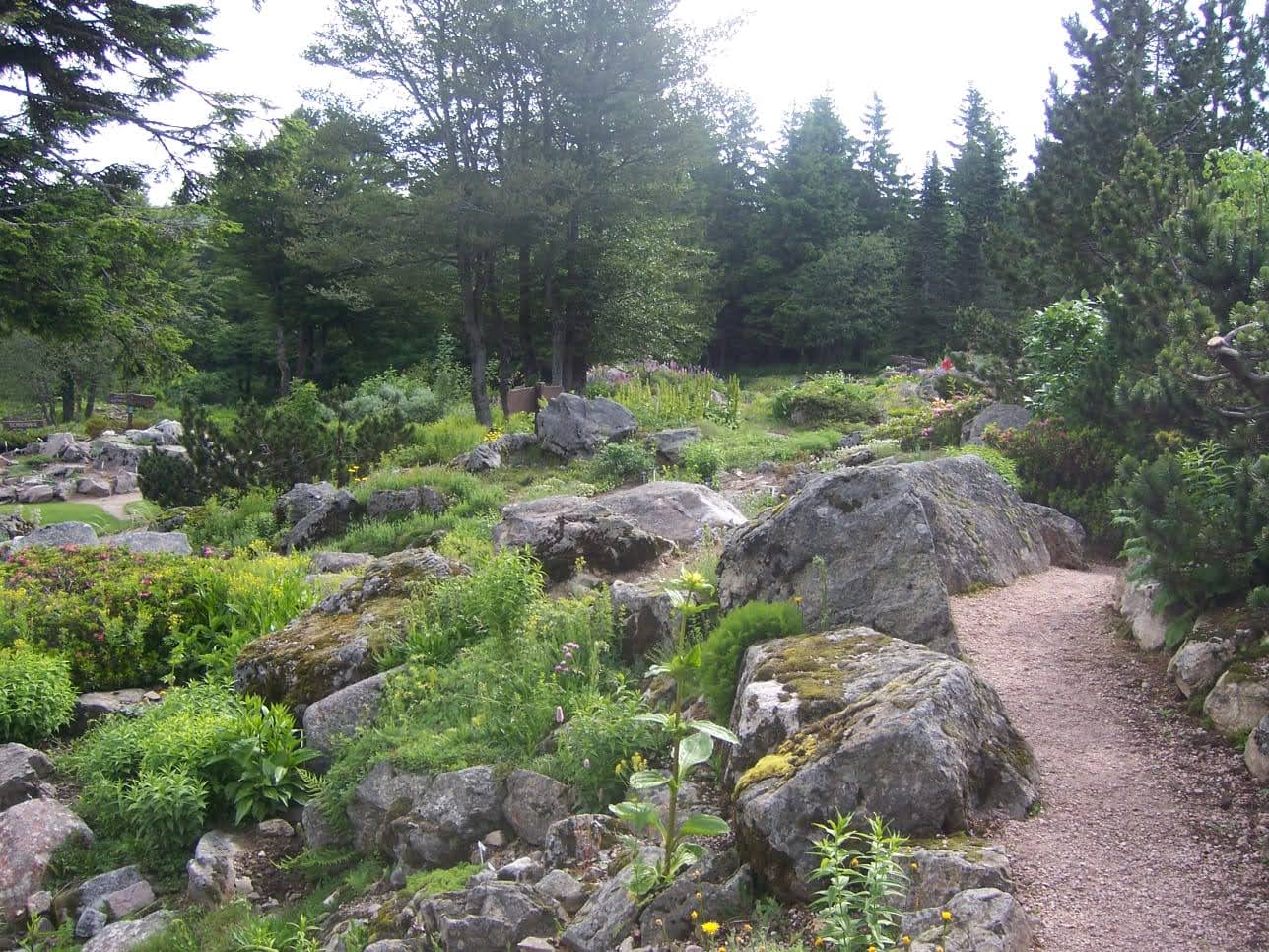 Photo n° 17 de l'avis de Christiane.e fait le 15/06/2021 à 17:16