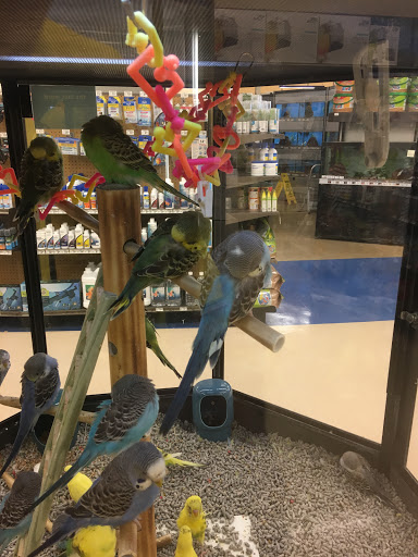 Pet Supply Store «Petco Animal Supplies», reviews and photos, 2565 NE 10th Ct, Homestead, FL 33035, USA