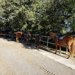 Photo n°2 de l'avis de Alessio.o fait le 30/11/2021 à 08:27 sur le  Hotel Rifugio Prategiano à Montieri