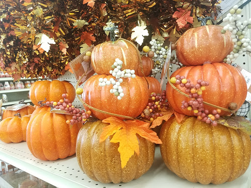 Discount Store «Big Lots», reviews and photos, 10205 Grand Ave, Franklin Park, IL 60131, USA