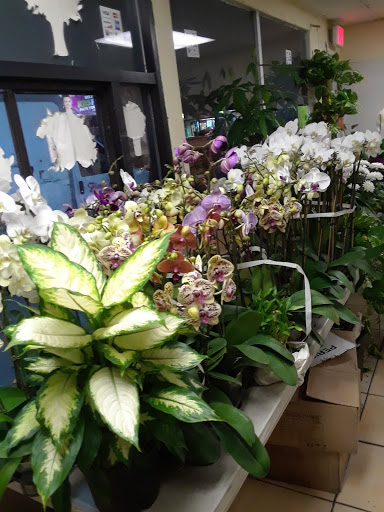 Florist «Florals by Ana», reviews and photos, 4408 E Rosecrans Ave, Compton, CA 90221, USA