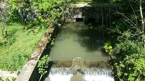 Sci Du Domaine de Saint Jean à Thizy