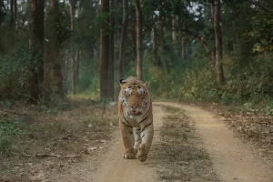 Nature Safari India image