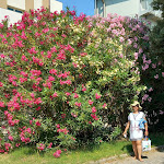 Photo n°7 de l'avis de Milan.s fait le 17/07/2023 à 20:49 sur le  Hotel Adler à Lido di Classe