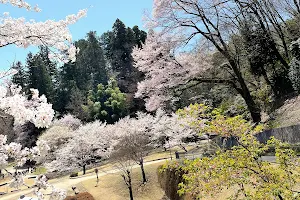 Ogimachi Park image