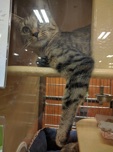 Pet Supply Store «PetSmart», reviews and photos, 300 NJ-18, East Brunswick, NJ 08816, USA