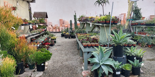 Garden Center «International Garden and Floral Design Center», reviews and photos, 155 N Sepulveda Blvd, El Segundo, CA 90245, USA