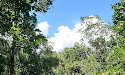 Fishhawk Creek Nature Preserve North