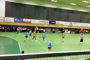Davor & co handball club Zora image