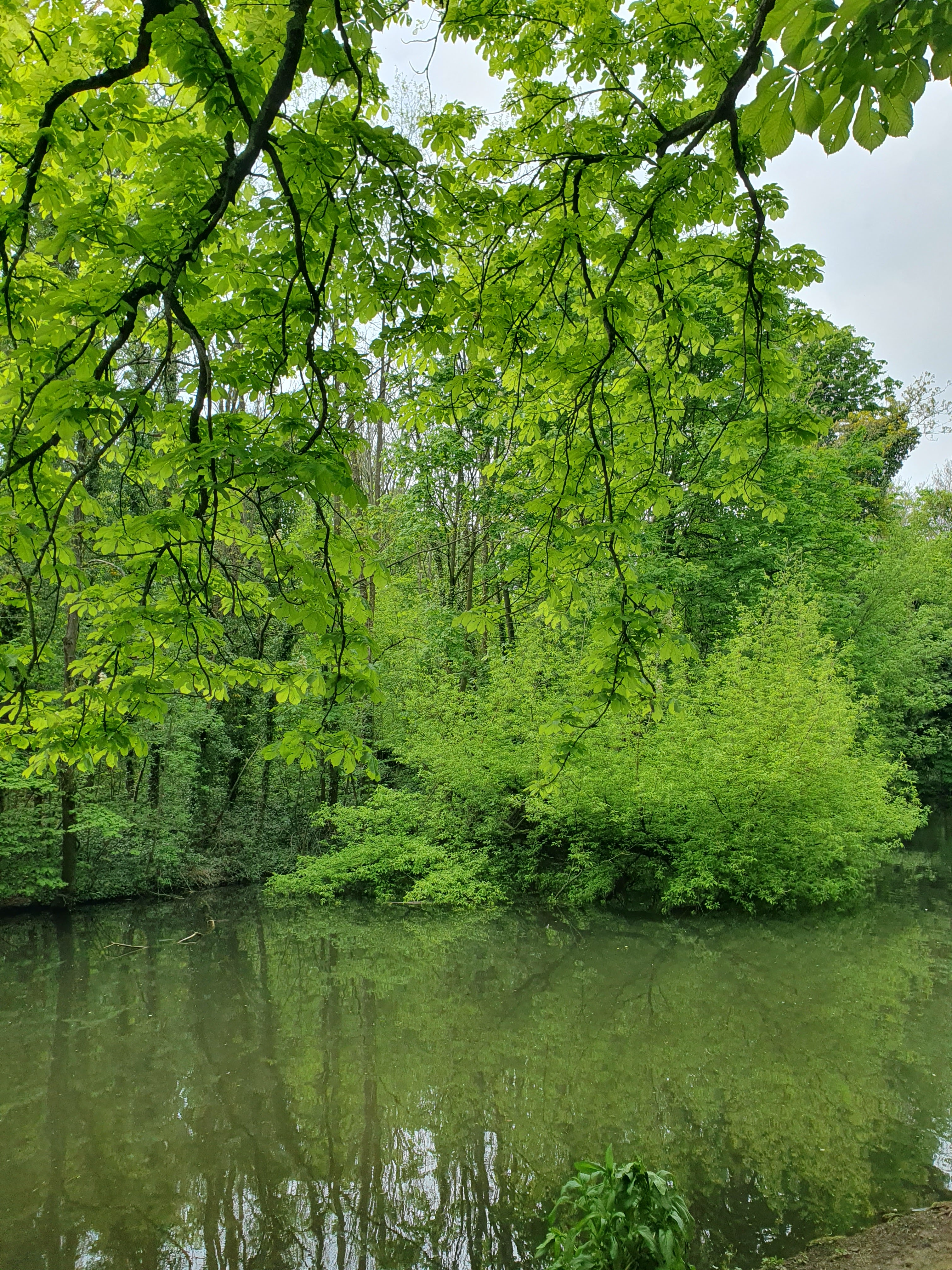 Photo n° 2 de l'avis de Nathalie.. fait le 30/05/2023 à 05:50
