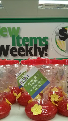 Dollar Store «Dollar Tree», reviews and photos, 1455 Peachtree Pkwy, Cumming, GA 30041, USA