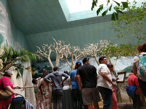 Zoo «Tropic World», reviews and photos, 3300 Golf Rd, Brookfield, IL 60513, USA