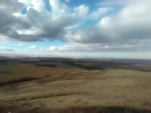 Commercial Printer «Pollock Printing», reviews and photos, 928 6th Ave S, Nashville, TN 37203, USA