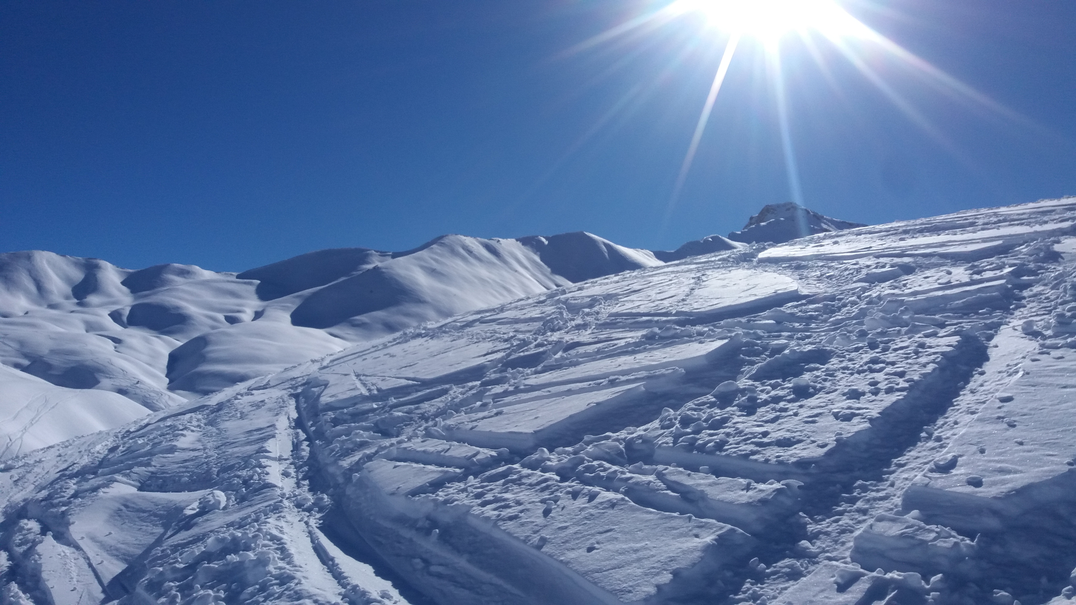 Photo n° 1 de l'avis de Šaldis. fait le 09/02/2019 à 09:28