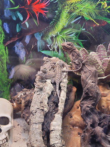 Pet Store «Petland Lancaster», reviews and photos, 1400 River Valley Cir N, Lancaster, OH 43130, USA