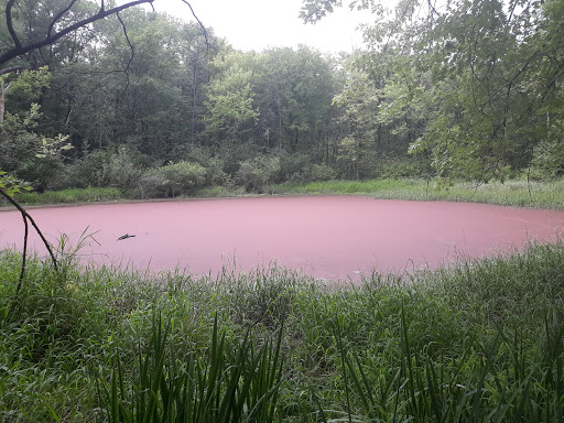 Nature Preserve «Cook County Forest Preserve», reviews and photos, 1700 N Quentin Rd, Palatine, IL 60074, USA