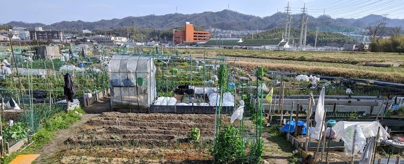 びお・やちゃい村【大阪 寝屋川貸農園】