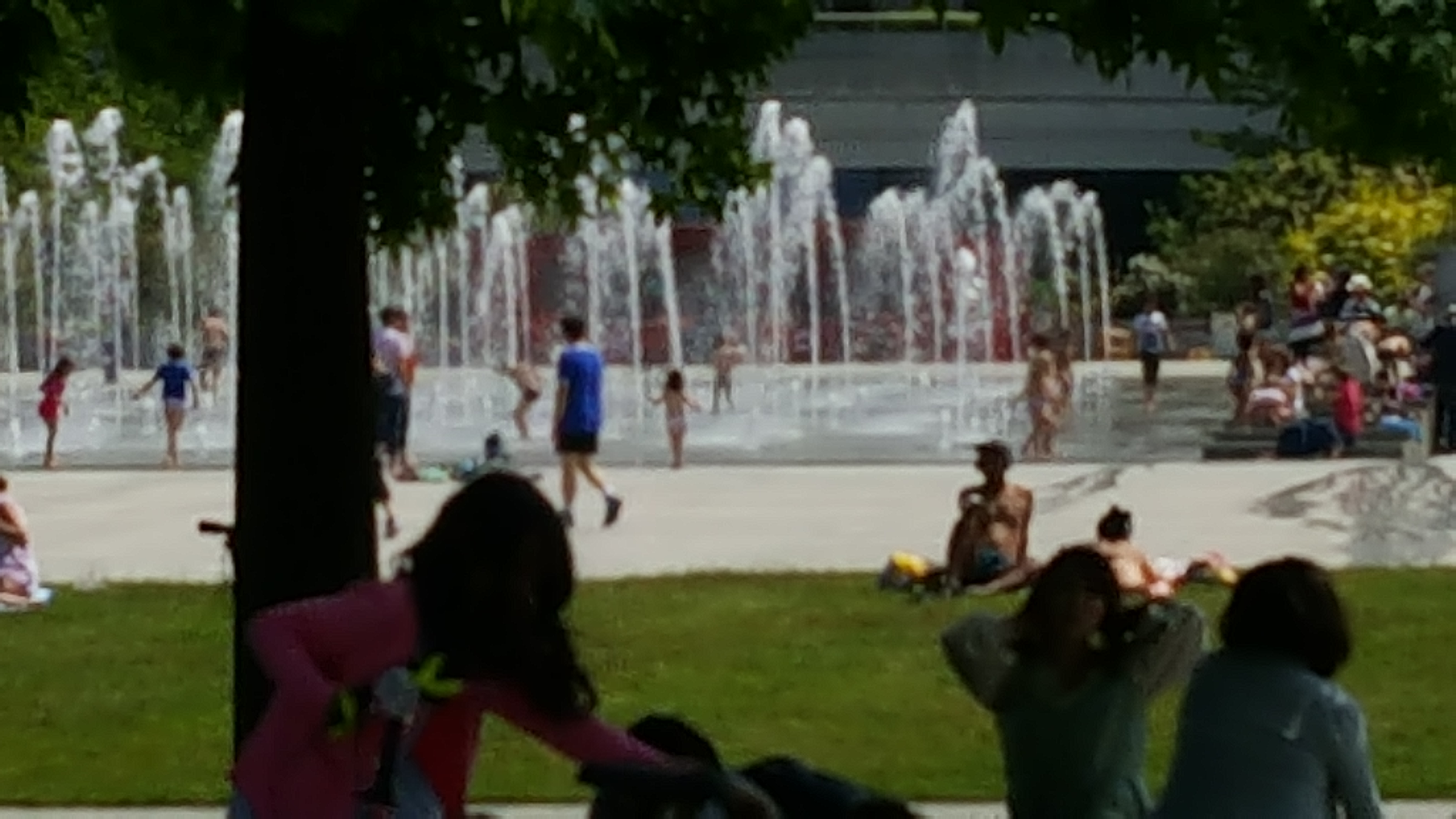 Photo n° 7 de l'avis de don.i fait le 20/05/2018 à 12:04