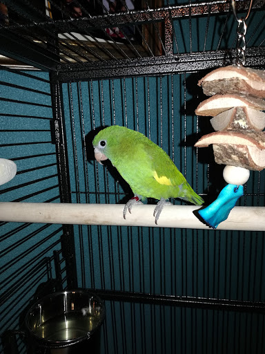 Pet Supply Store «Petco Animal Supplies», reviews and photos, 313 Homer M Adams Pkwy, Alton, IL 62002, USA