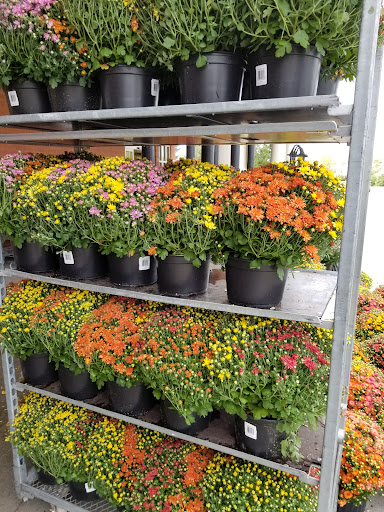 Grocery Store «Super Stop & Shop», reviews and photos, 80 Birdsall Rd, Baldwin Place, NY 10505, USA