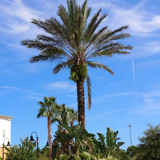 Movie Theater «Regal Cinemas Pavilion 14 & RPX», reviews and photos, 5547 S Williamson Blvd, Port Orange, FL 32128, USA