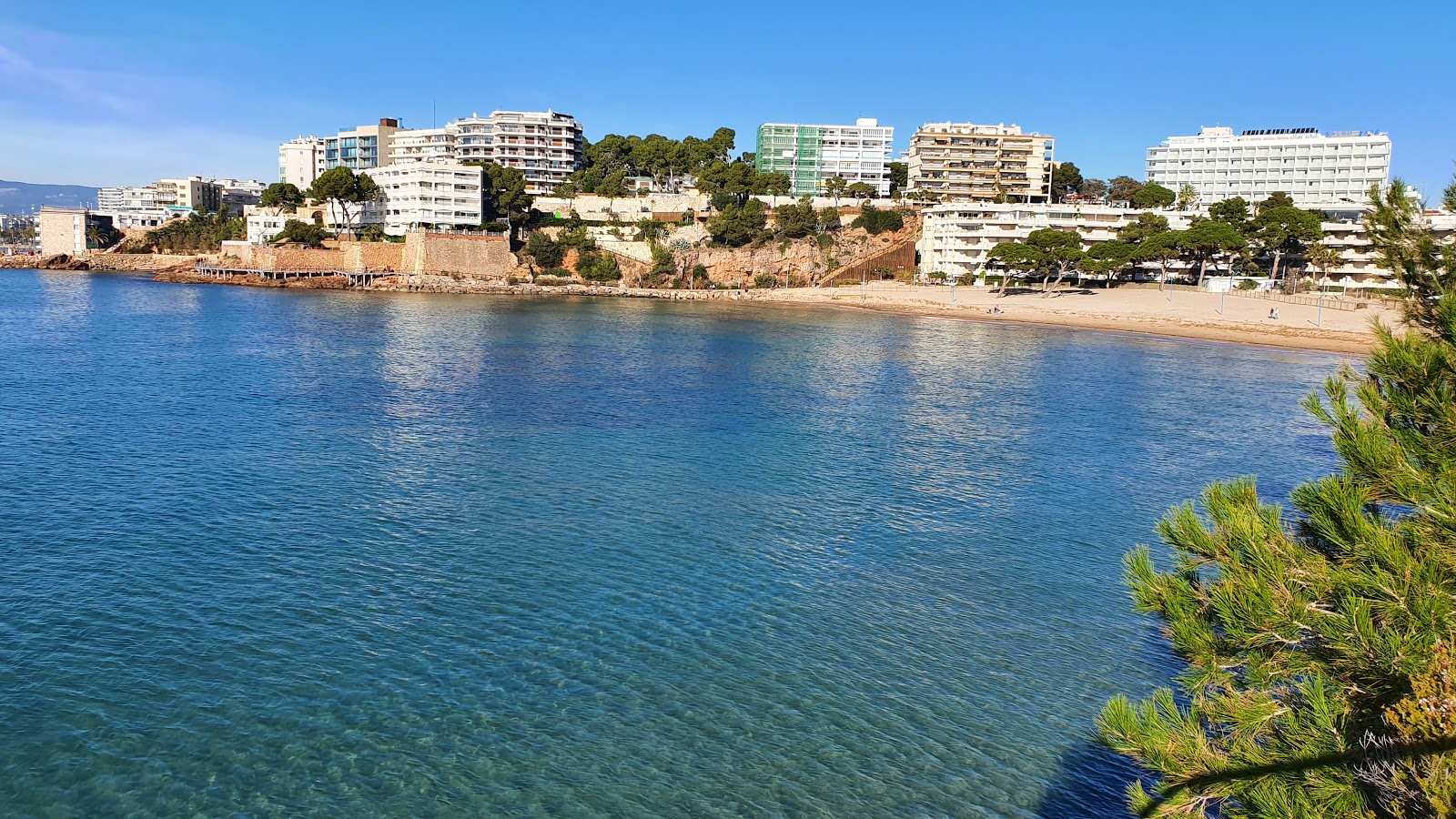 Platja dels Capellans'in fotoğrafı yeşil su yüzey ile