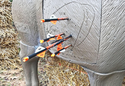 Sporting Goods Store «Smokey Hills Outdoor Store», reviews and photos, 19143 US-71, Park Rapids, MN 56470, USA