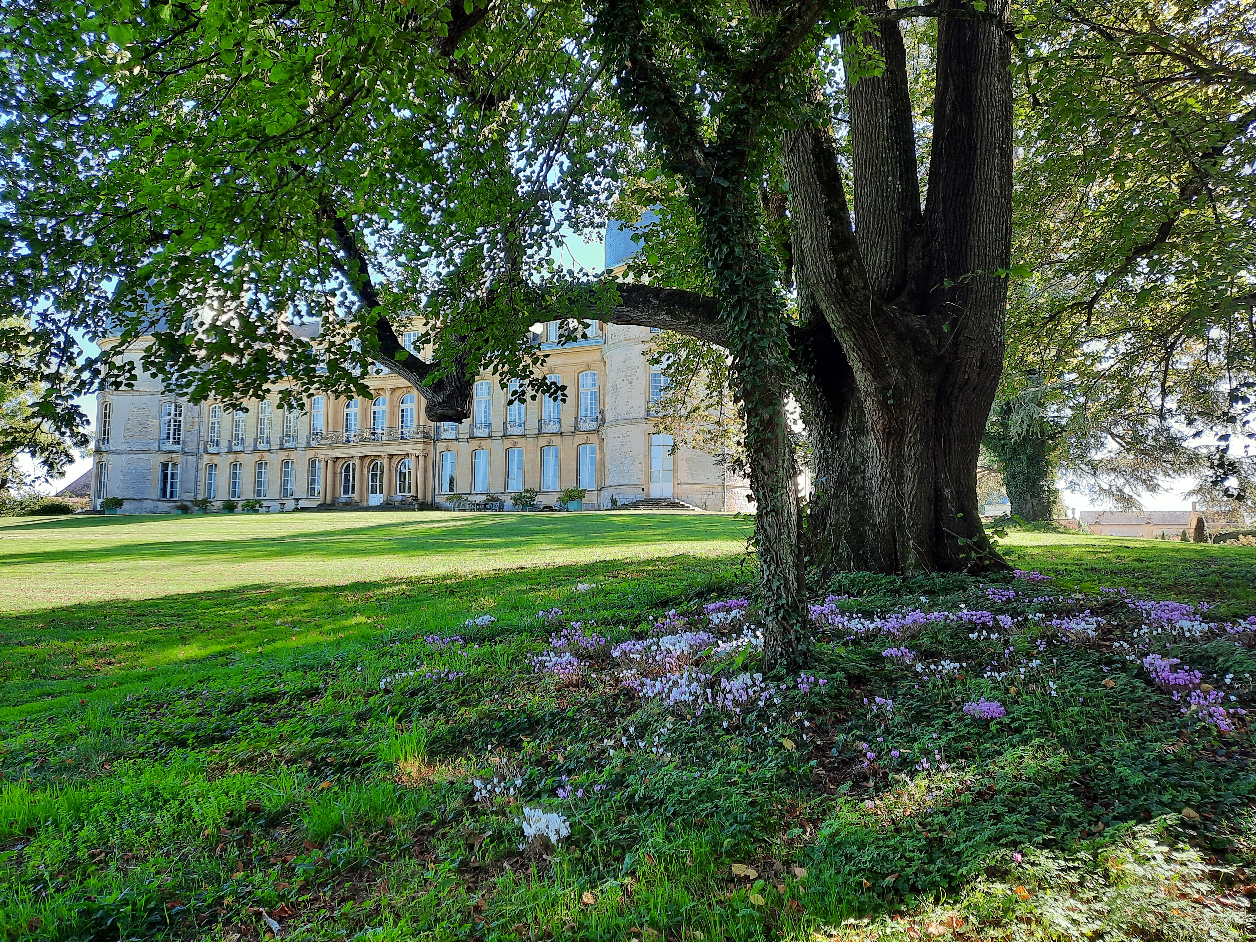 Photo n° 4 de l'avis de MARTIN.a fait le 01/10/2021 à 09:07