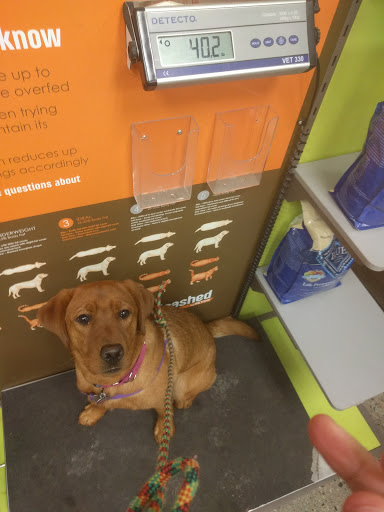 Unleashed by Petco, 5 Austin St, Charlestown, MA 02129, USA, 