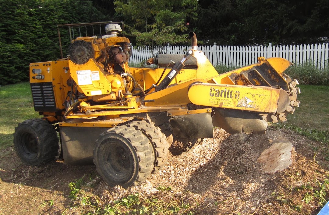 WAYNE STUMP GRINDING