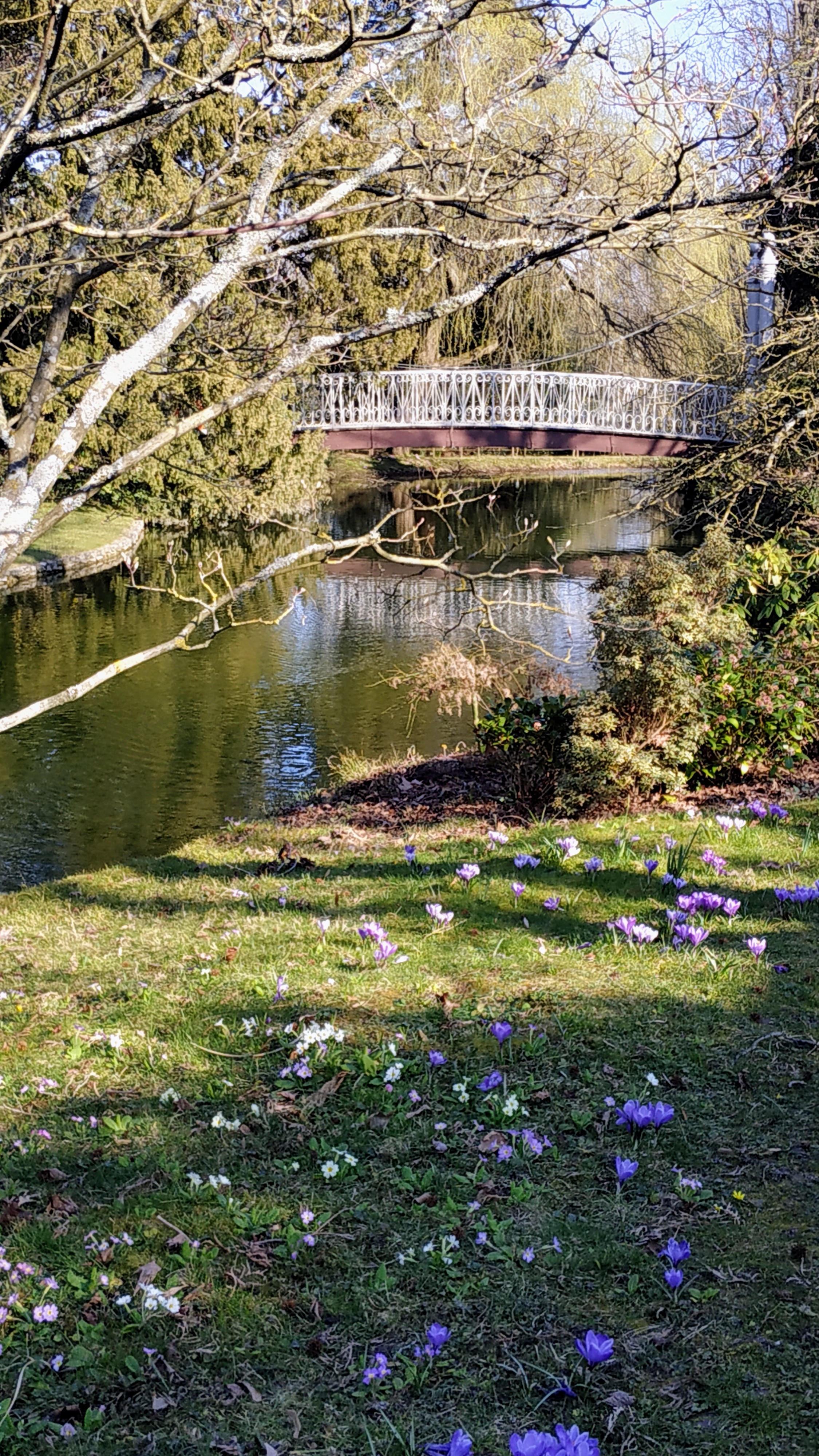 Photo n° 16 de l'avis de The.a fait le 08/03/2022 à 16:46