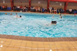 Bedford Modern School Swimming Pool image