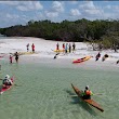 Paradise Coast Kayak Tours