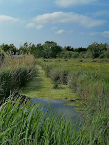Sporthal De Polder Stokerij 10, 8380 Brugge, Belgique
